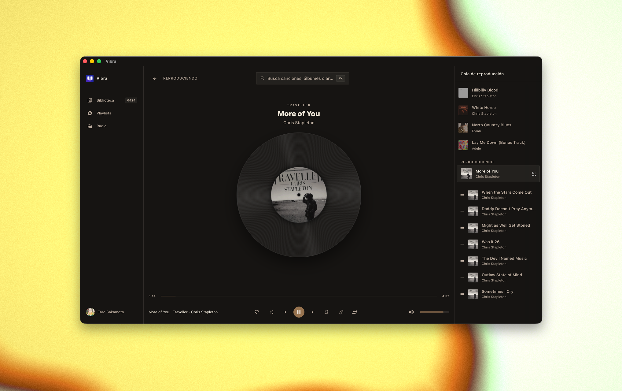 Vibra Now Playing view